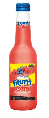 ULUDAĞ FRUTTİ EXTRA CAM ORMAN 250 ML*24