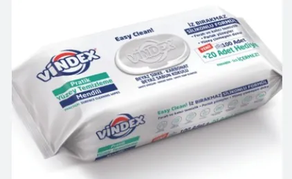 YİNDEX YÜZEY TEMİZLİK HAVLUSU 100 LÜ*12