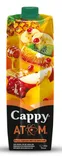 CAPPY 1 LT ATOM MEYVE SUYU 1 LT*12