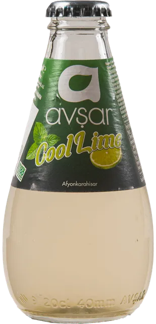AVŞAR COOL LİME SODA*24