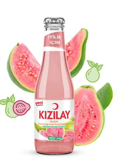 KIZILAY MEYVELİ GUAVA*24